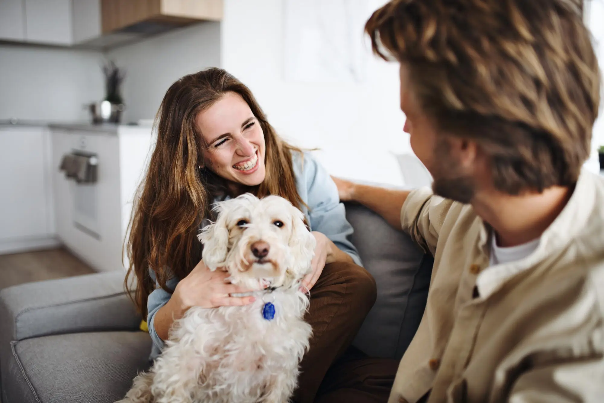 Pets in a Rental Property in McAllen, TX: Tips for Smooth Management